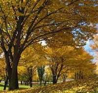 Centennial Park at Cooma - Palm Beach Accommodation