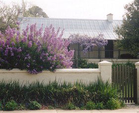 Lambie Town Walk - Palm Beach Accommodation 4