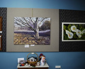 Monaro Art Groups Little Gallery - Palm Beach Accommodation 0