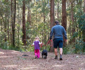 Kulnura NSW Palm Beach Accommodation