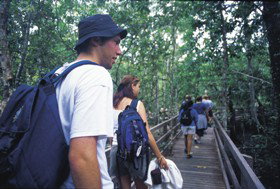 Daguilar QLD Palm Beach Accommodation