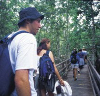 Bellthorpe National Park - Palm Beach Accommodation