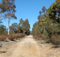 Werakata National Park - Palm Beach Accommodation