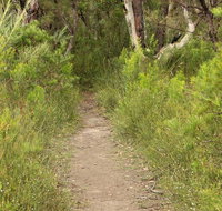 Three Views walking track - Palm Beach Accommodation