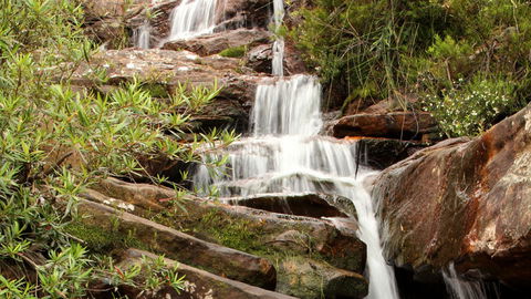 Popran National Park - Palm Beach Accommodation 1