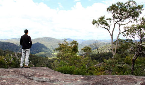 Popran National Park - Palm Beach Accommodation 0