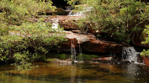 Popran National Park - Palm Beach Accommodation 2