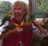 Maleny Botanic Gardens  Bird World - Palm Beach Accommodation