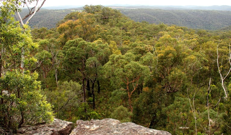 Mangrove Mountain NSW Palm Beach Accommodation