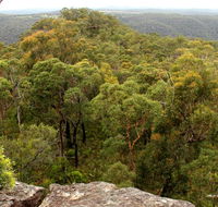Mount Olive lookout - Palm Beach Accommodation