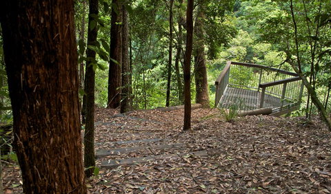 Jerusalem Creek Trail - Palm Beach Accommodation 3