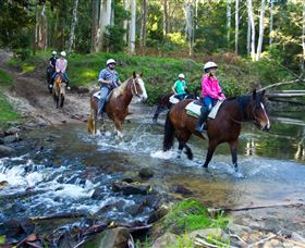 Glenworth Valley Horse Riding - Palm Beach Accommodation 1