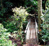 Richmond Range National Park - Palm Beach Accommodation