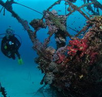 Severance Shipwreck Dive Site - Palm Beach Accommodation