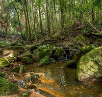 Palm Grove Nature Reserve - Palm Beach Accommodation
