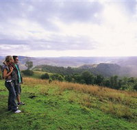 Mallanganee Lookout - Palm Beach Accommodation