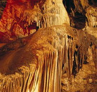 Buchan Caves Reserve - Palm Beach Accommodation