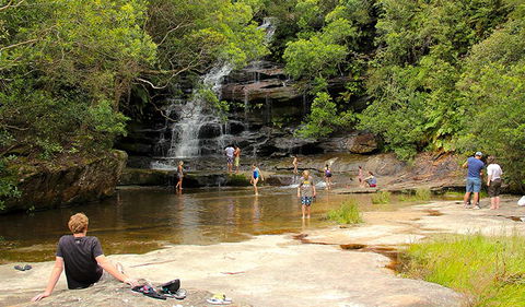 Somersby Falls Picnic Area - Palm Beach Accommodation 0
