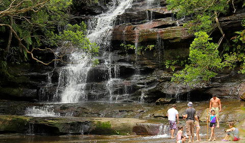 Somersby Falls Picnic Area - Palm Beach Accommodation 2