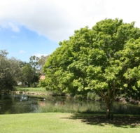 Hervey Bay Botanic Gardens - Palm Beach Accommodation