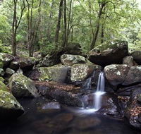 Kangaroo River - Palm Beach Accommodation