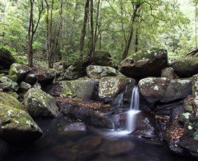 Kangaroo River - Palm Beach Accommodation 0