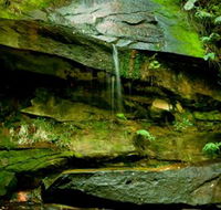Strickland State Forest - Palm Beach Accommodation