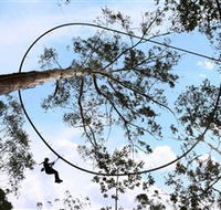 TreeTops Crazy Rider - Palm Beach Accommodation
