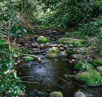 Macquarie Pass National Park - Palm Beach Accommodation