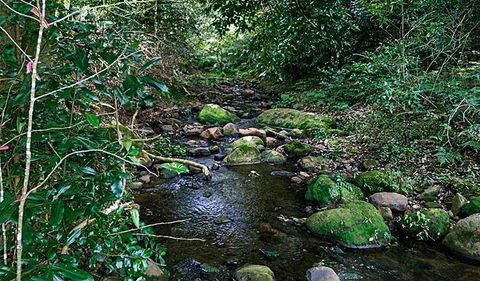 Macquarie Pass National Park - Palm Beach Accommodation 0