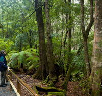 Monga National Park - Palm Beach Accommodation