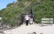 Penguin Island Boardwalks And Walk Trail - thumb 2