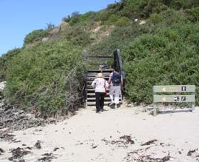 Penguin Island Boardwalks And Walk Trail - Palm Beach Accommodation 2