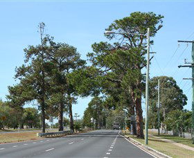 Anzac Memorial Avenue, Redcliffe - Palm Beach Accommodation 2