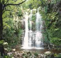 Budderoo National Park - The Falls Walk - Palm Beach Accommodation