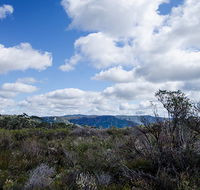 Barren Grounds Nature Reserve - Palm Beach Accommodation