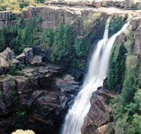 Minnamurra Rainforest Centre Budderoo National Park - Palm Beach Accommodation
