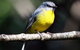 Cooloola Nature - thumb 4