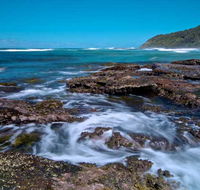 Wyrrabalong National Park - Palm Beach Accommodation