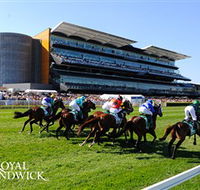 Royal Randwick Racecourse - Palm Beach Accommodation