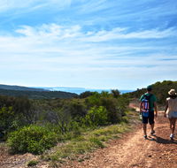 Moonee Beach trail - Palm Beach Accommodation