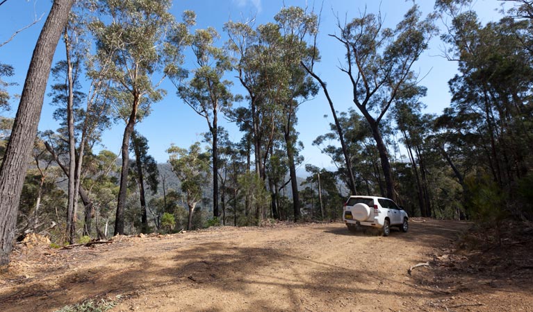 Wadbilliga NSW Palm Beach Accommodation