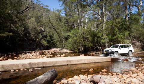 Wadbilliga Road Drive - Palm Beach Accommodation 2