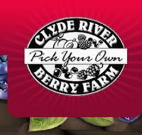 Clyde River Berry Farm - Palm Beach Accommodation