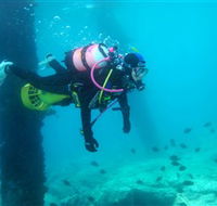 Shellharbour Scuba  Photography Centre - Palm Beach Accommodation