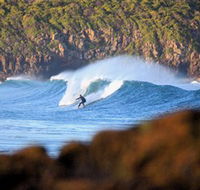 Killalea Beach - Palm Beach Accommodation