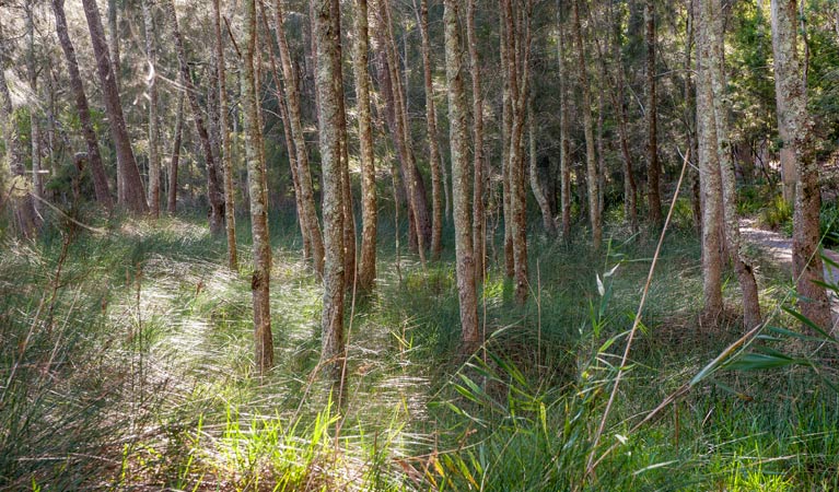 Boolijah NSW Palm Beach Accommodation