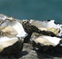 Jim Wilds Oyster Service - Palm Beach Accommodation
