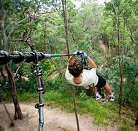 TreeTop Challenge - Palm Beach Accommodation