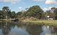Doug Larsen Park - thumb 1